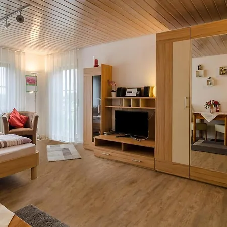 Moehrle Apartment